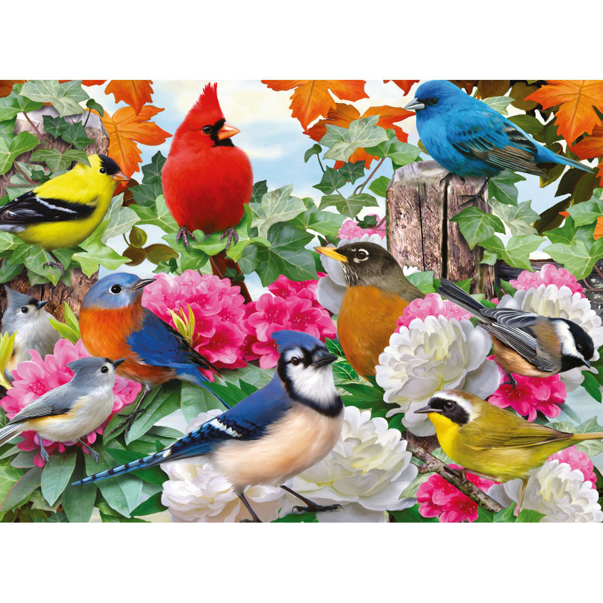 Ravensburger Garden Birds 500 pc Puzzle