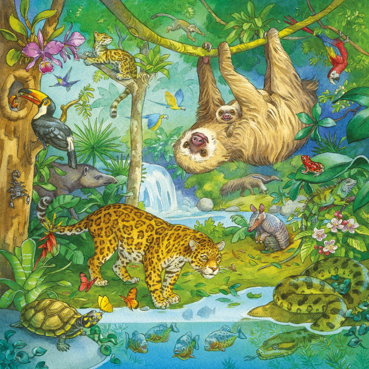 Ravensburger Jungle Fun 3 x 49 pc puzzle