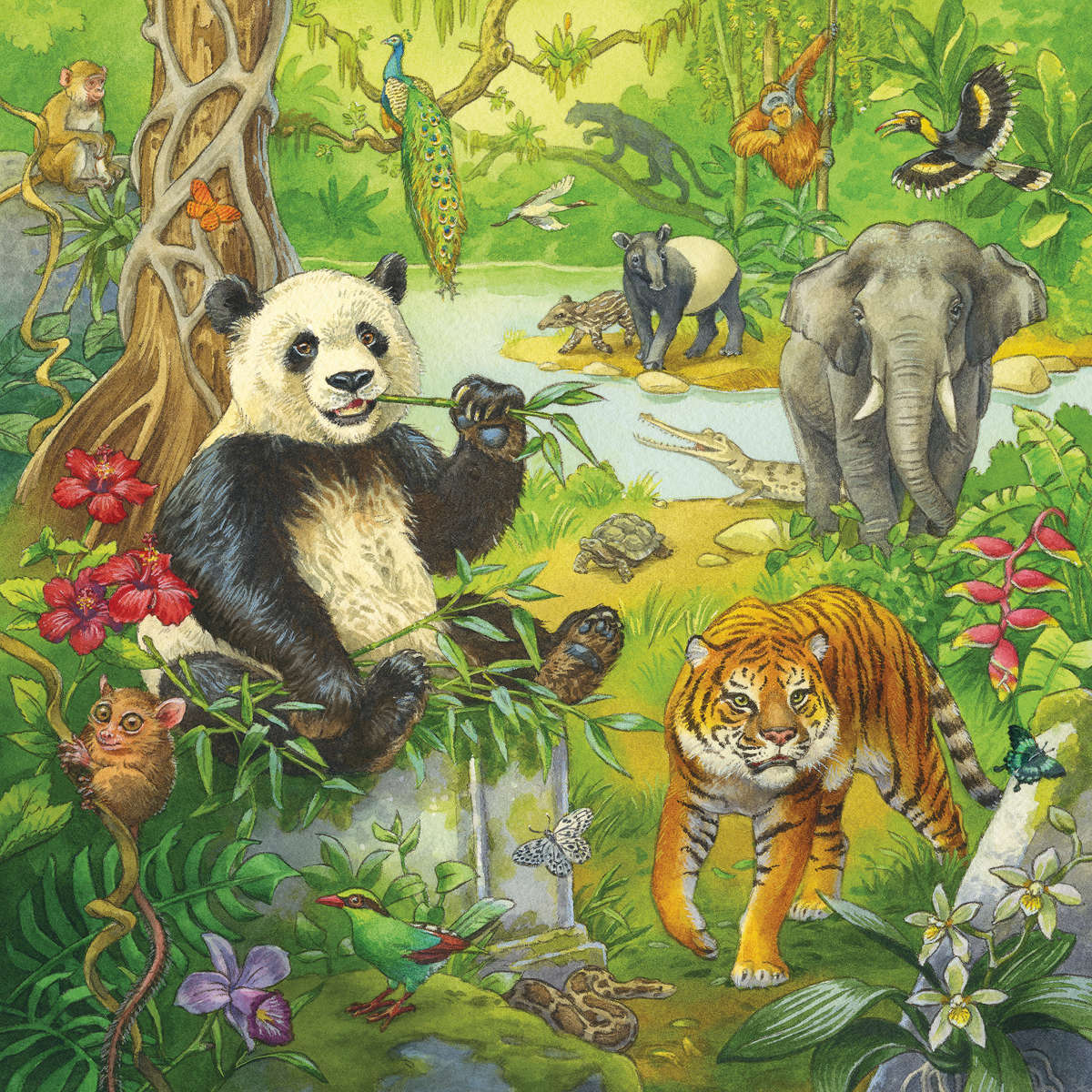 Ravensburger Jungle Fun 3 x 49 pc puzzle