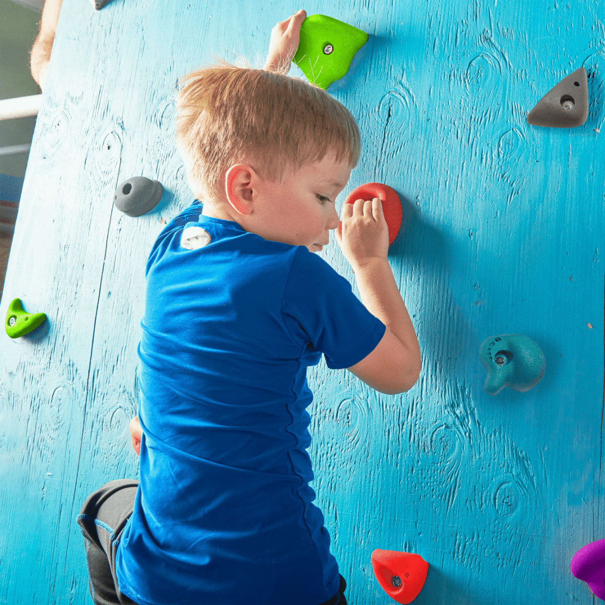 Slackers Rock Climbing Wall Kit