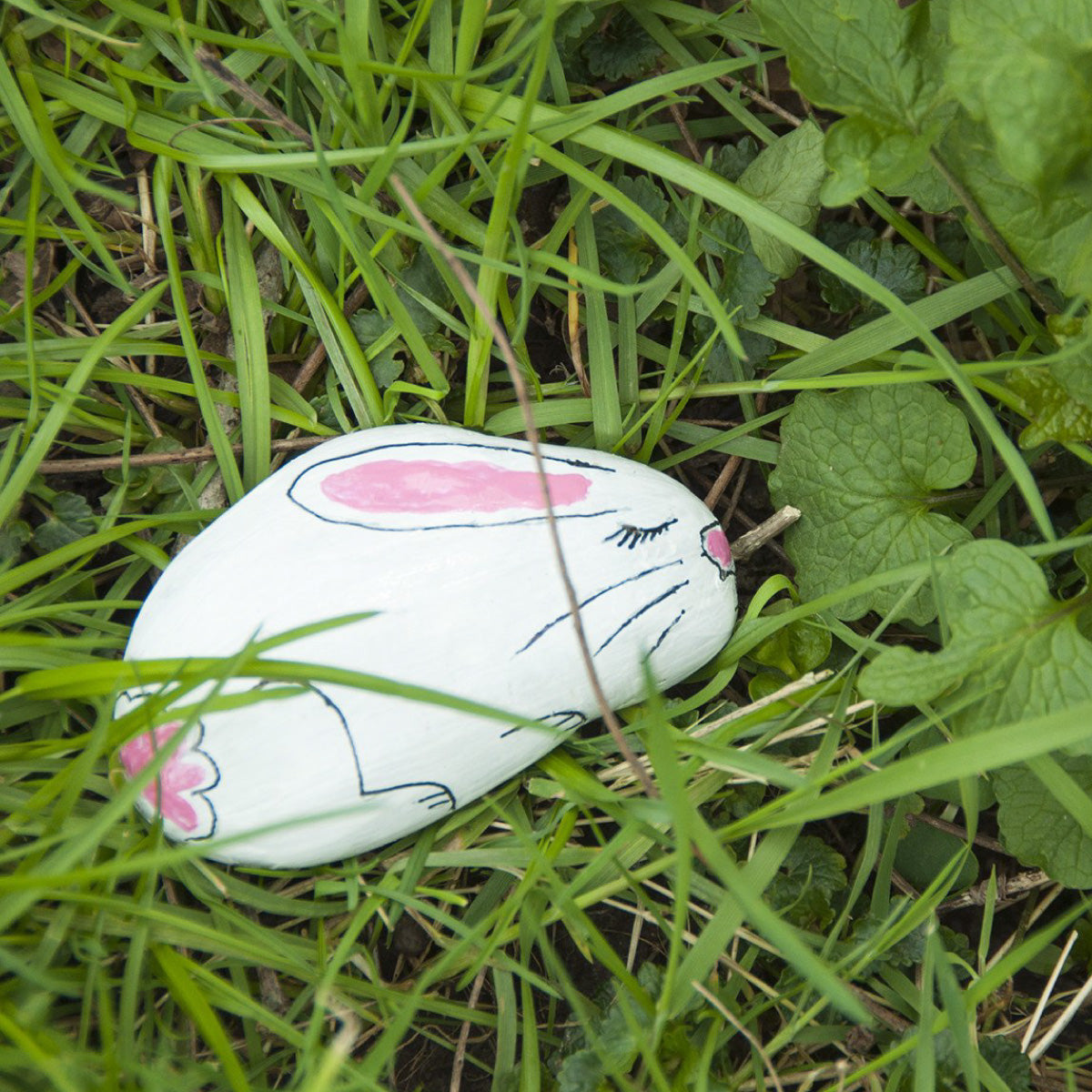 Hide & Seek Rock Painting Kit from Creativity for Kids