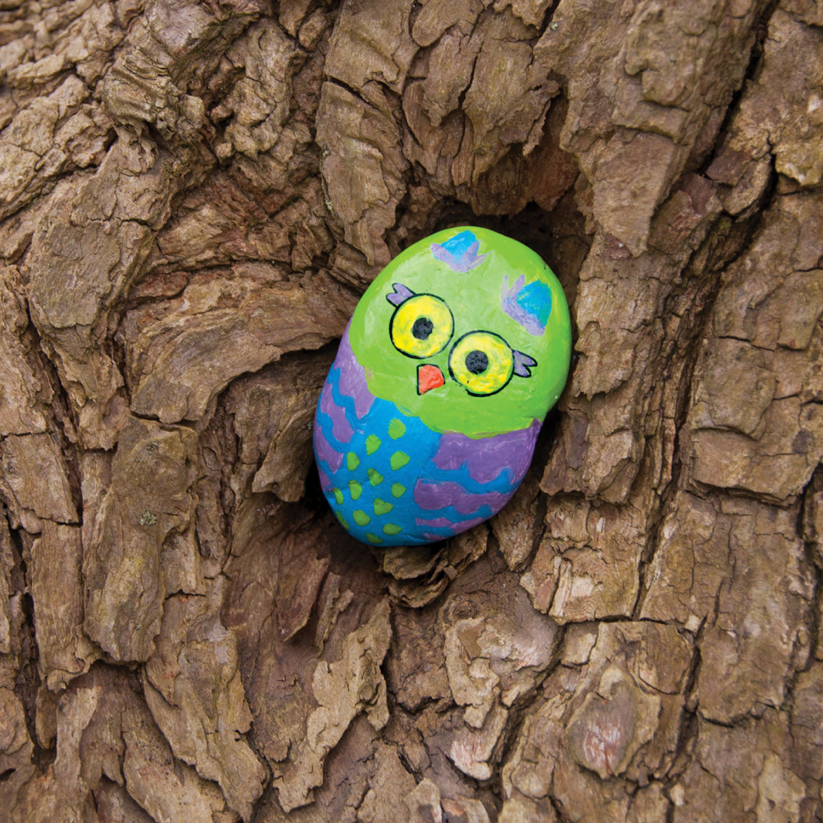 Hide & Seek Rock Painting Kit from Creativity for Kids