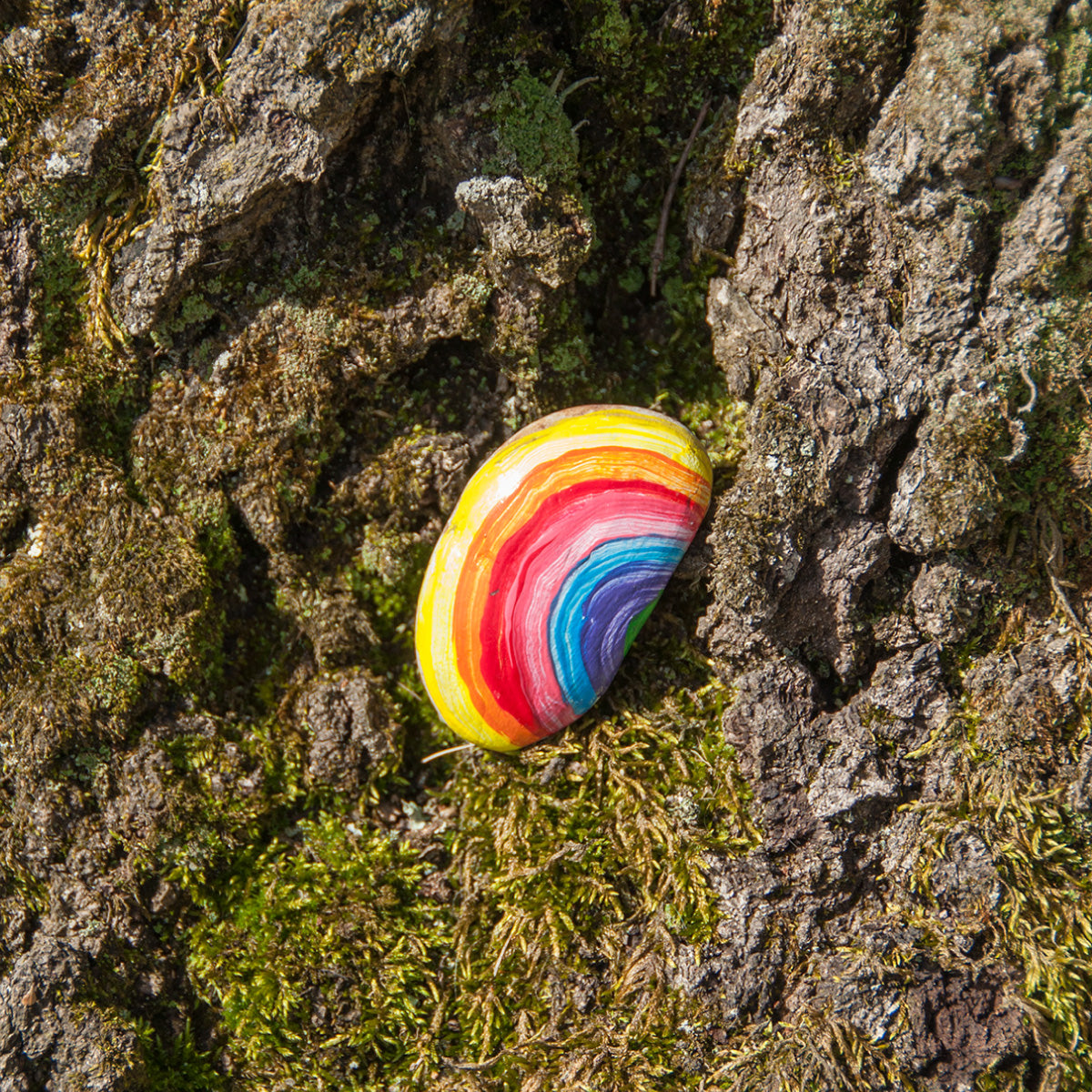 Hide & Seek Rock Painting Kit from Creativity for Kids