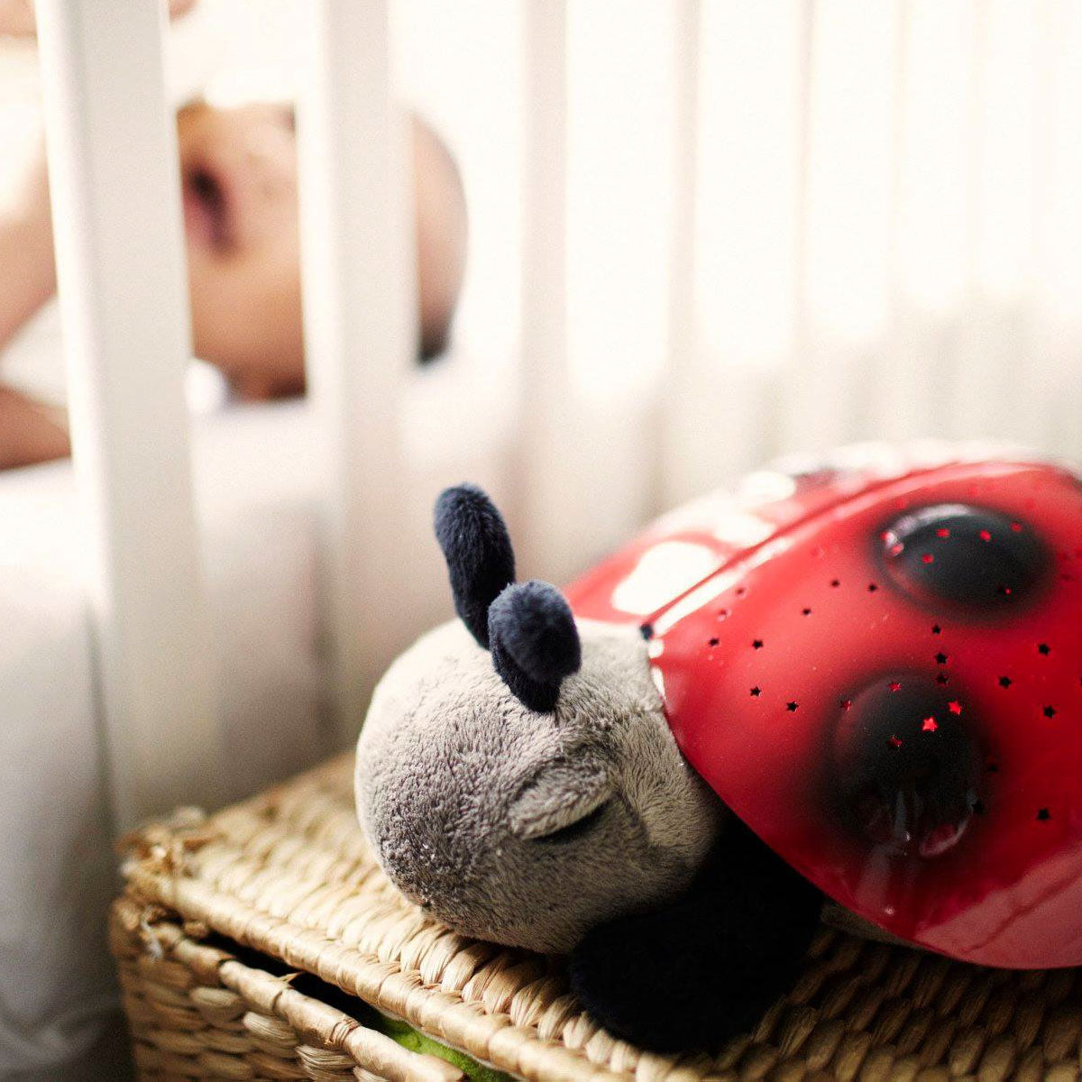 Cloud B Twilight Ladybug - Classic