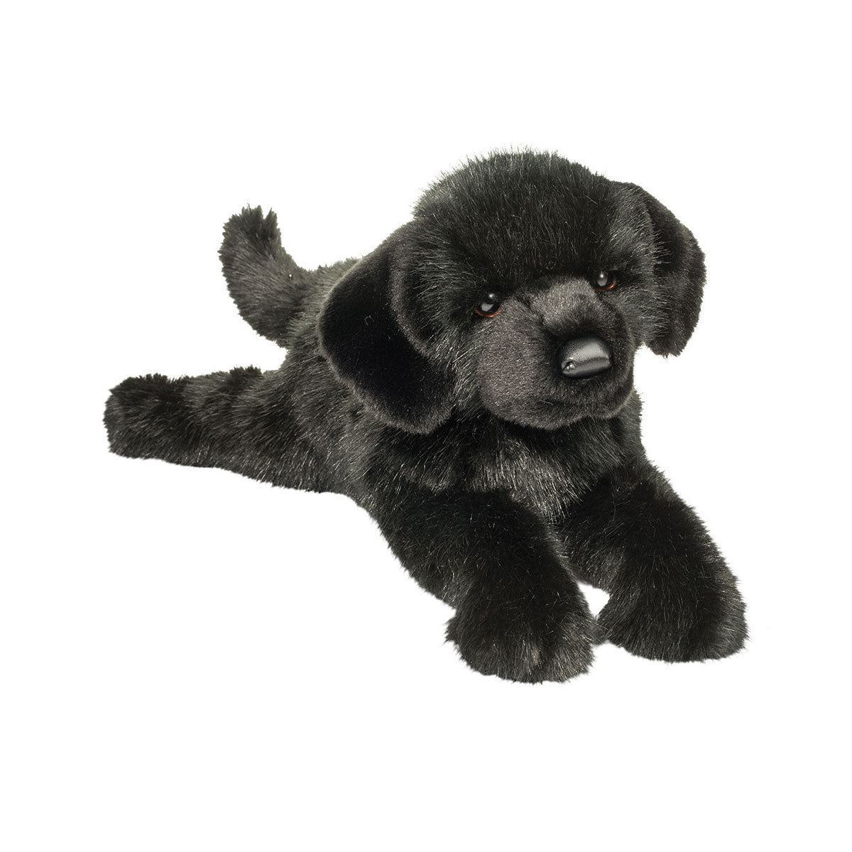 Jake the DLux Black Lab Puppy