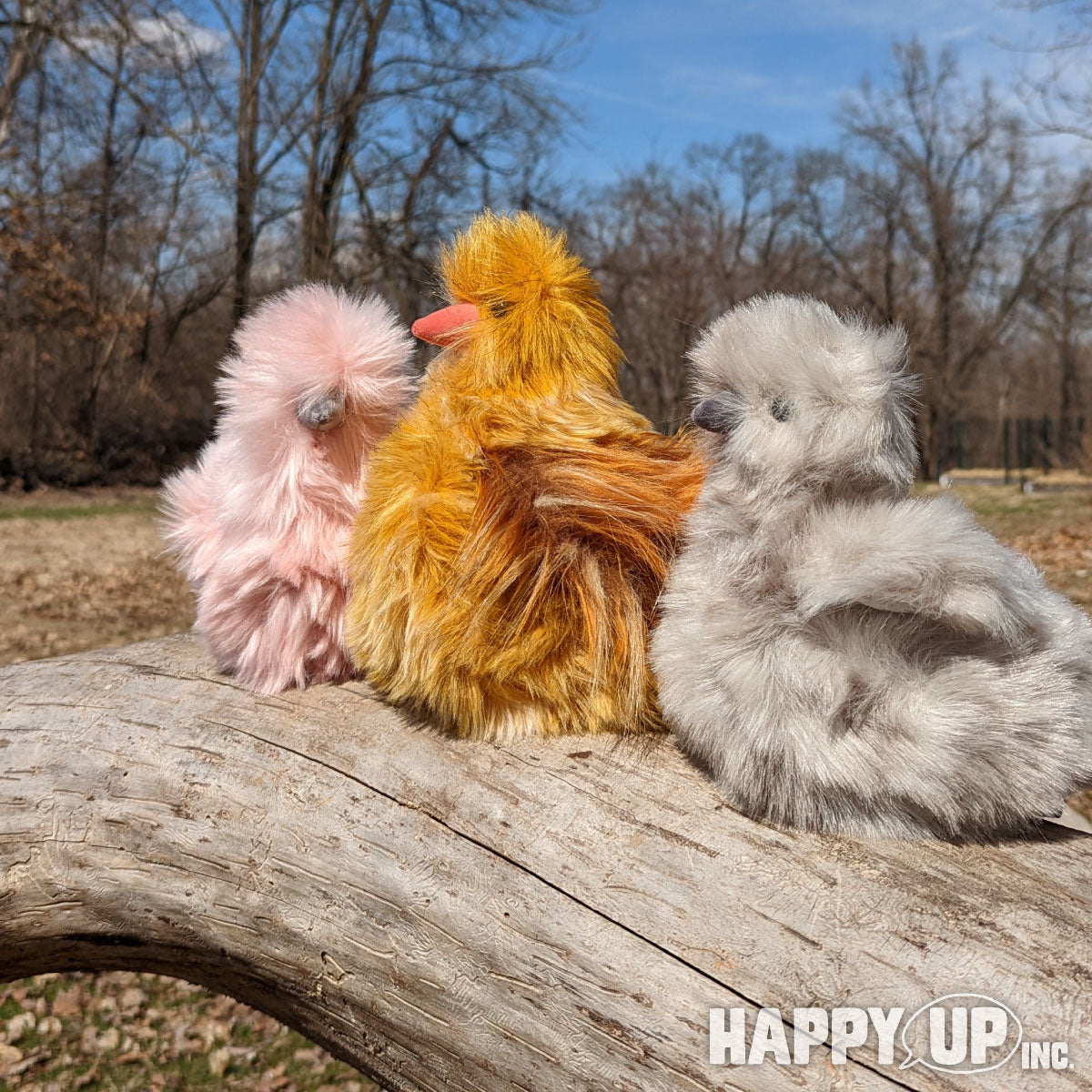 Mara Pink Silkie Chick with Serka Hen and Zara Chick