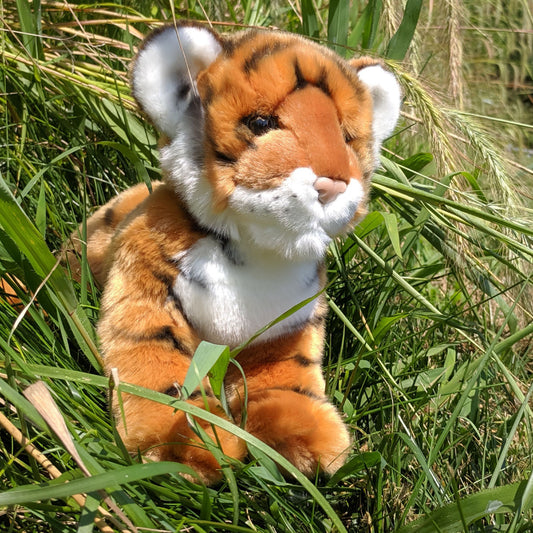 Pancake the Bengal Tiger Cub from Douglas