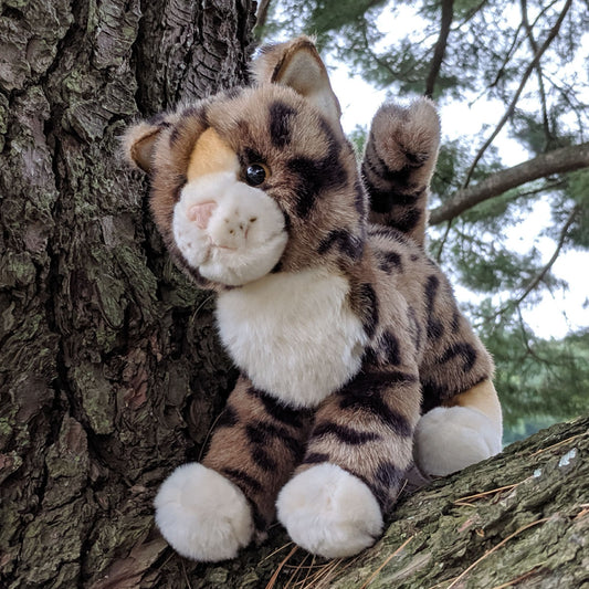 Tashet the Bengal Cat from Douglas Cuddle Toys