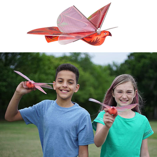 Duncan Dragon Hawk Glider with Power Assist