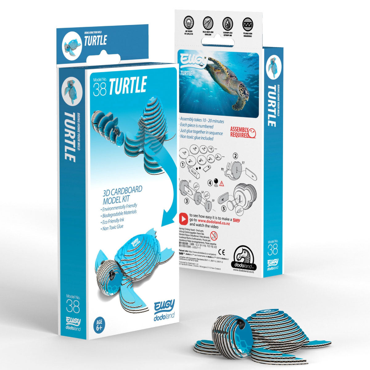 Eugy Sea Turtle 3-D Cardboard Model Kit