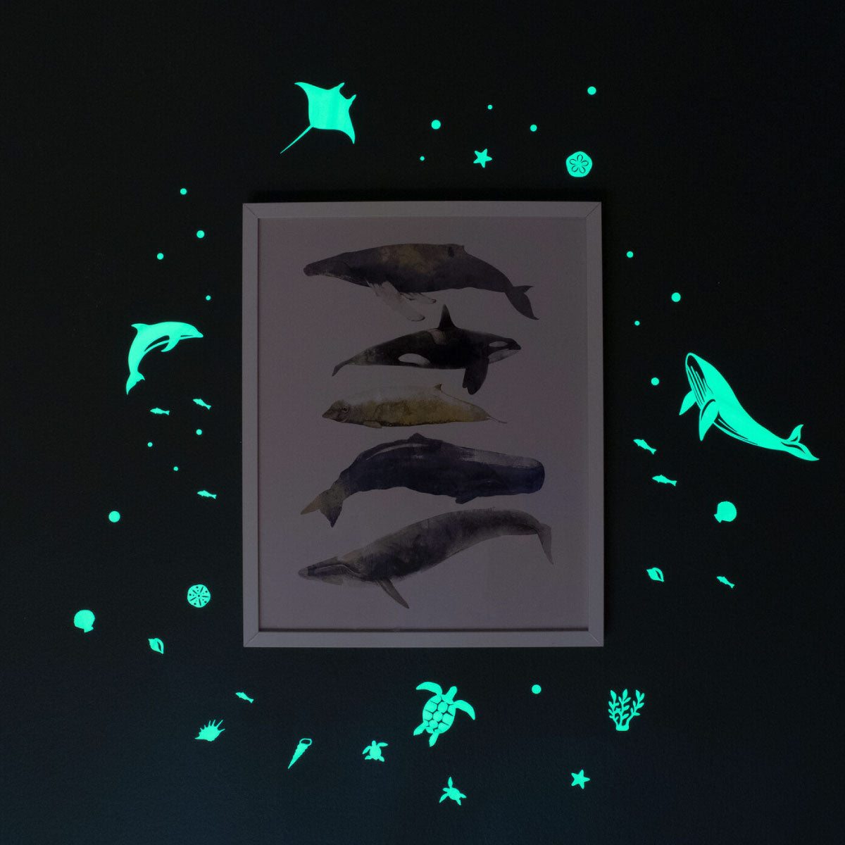 GloPlay Sea Animal Decals