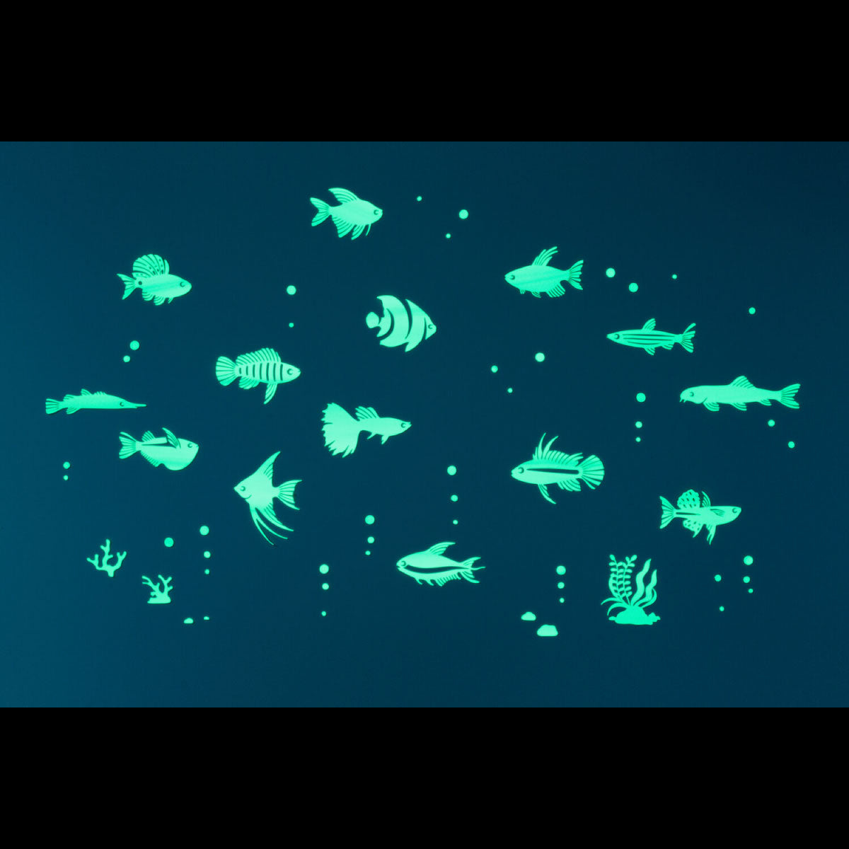 GloPlay Tropical Fish Decals