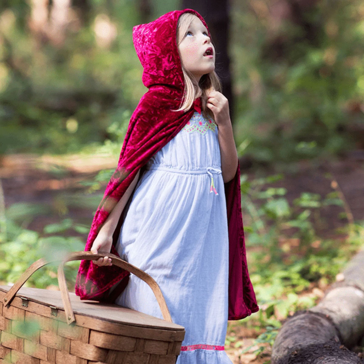 Little Red Riding Hood Cape