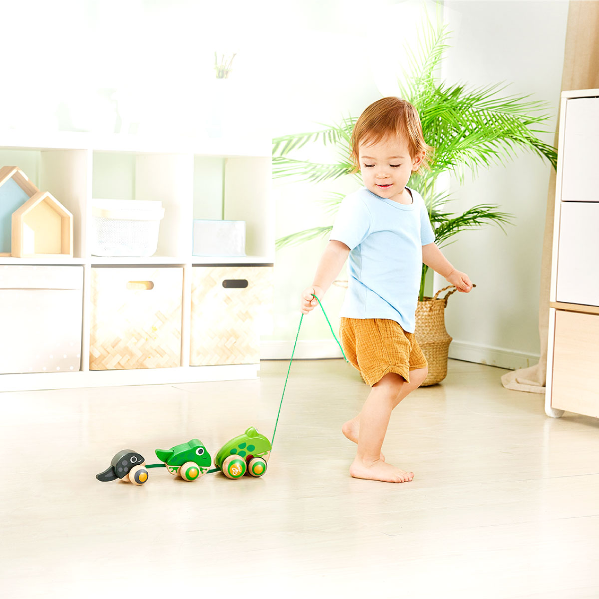 Hape Pull Along Frog Family