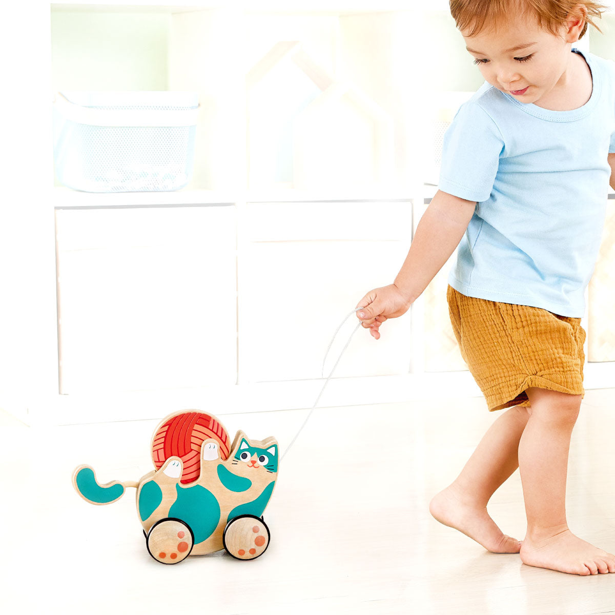 Hape Roll and Rattle Kitten Pull Toy