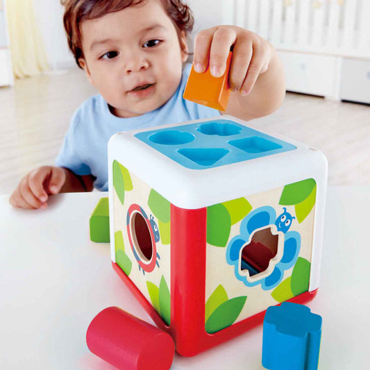 Hape Shape Sorting Box