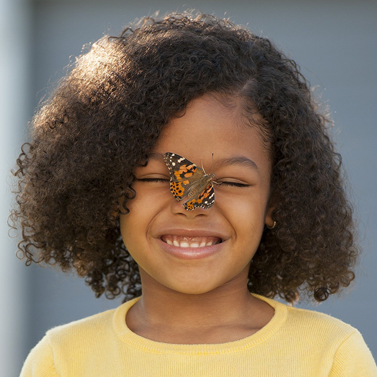 Insect Lore Butterfly Garden
