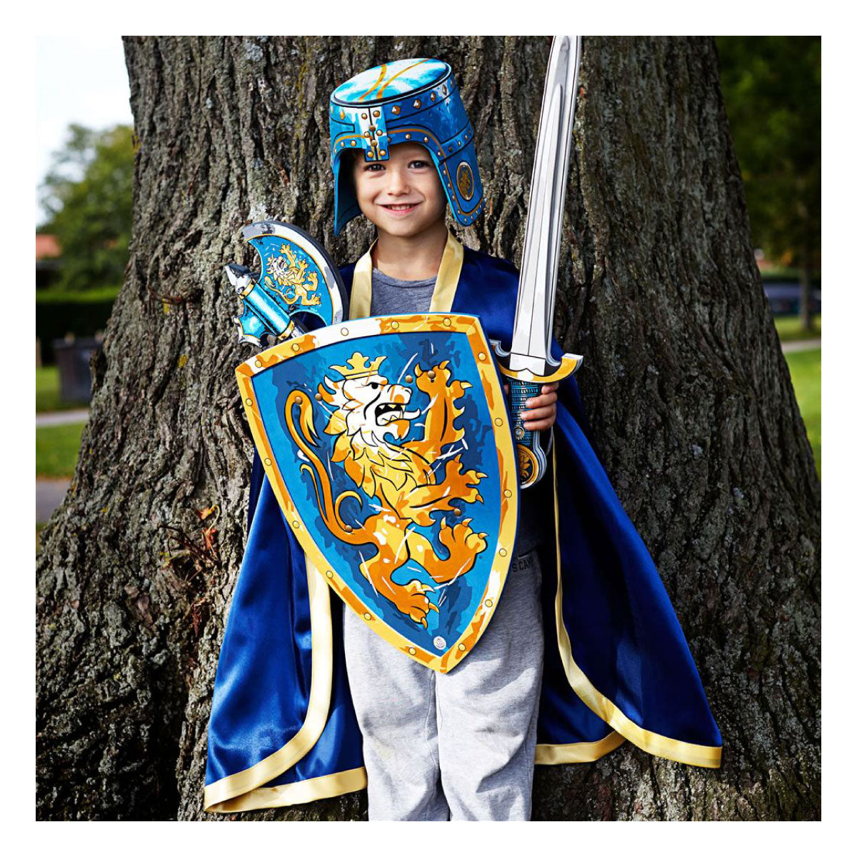 Noble Knight from Liontouch