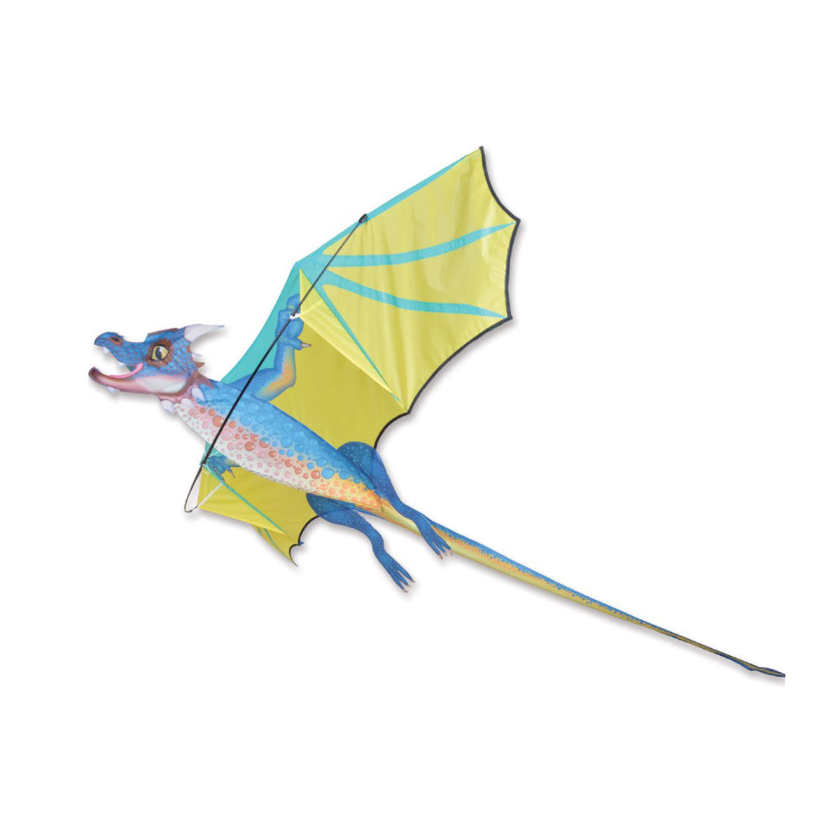 Stormcloud 3-D Dragon Kite from Premier Kites