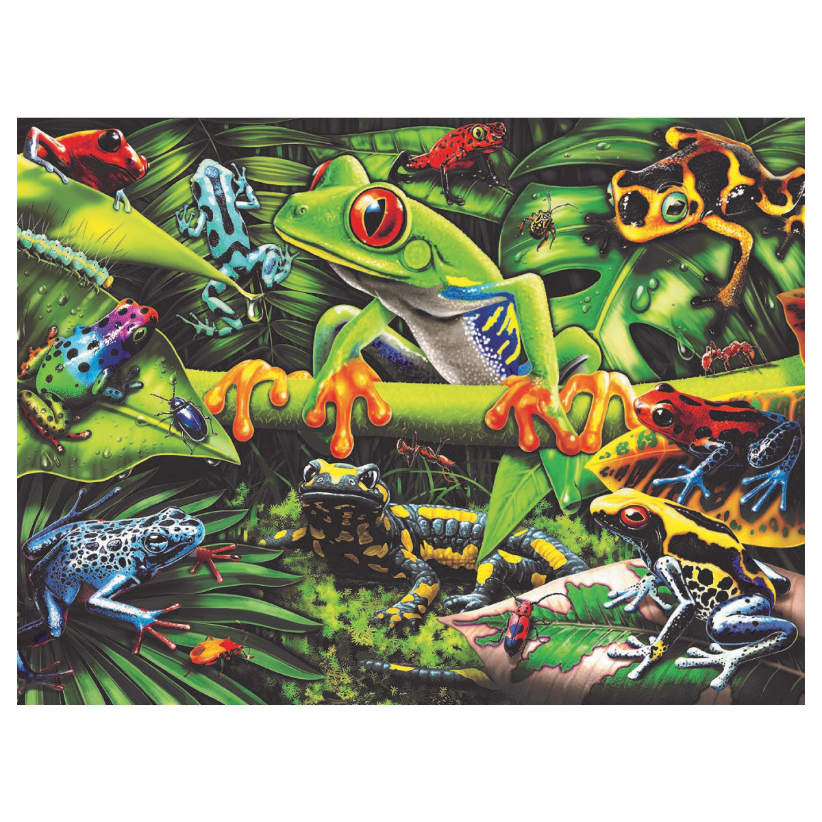Amazing Amphibians 35pc Jigsaw Puzzle from Ravensburger