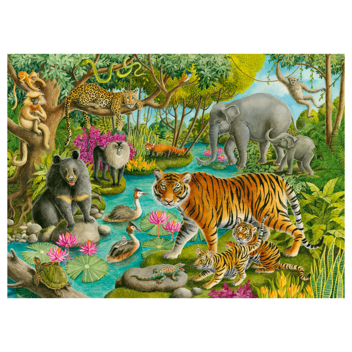 Animals of India 60pc Jigsaw Puzzle from Ravensburger