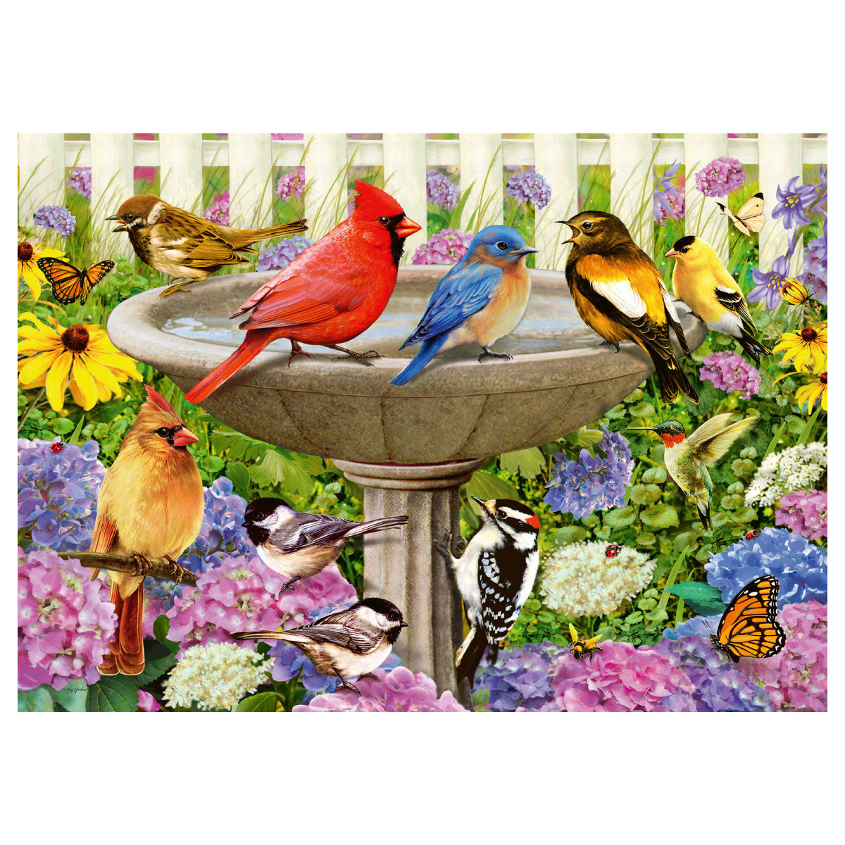 At the Birdbath - 500 pc Larger Pieces Jigsaw