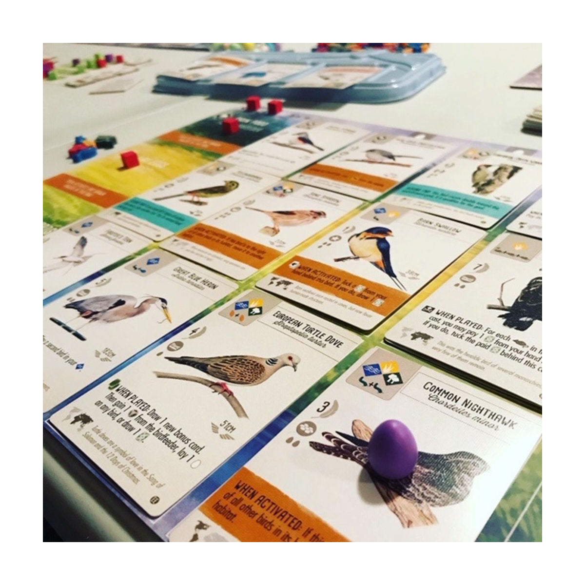 Wingspan European Expansion Set from Stonemaier Games