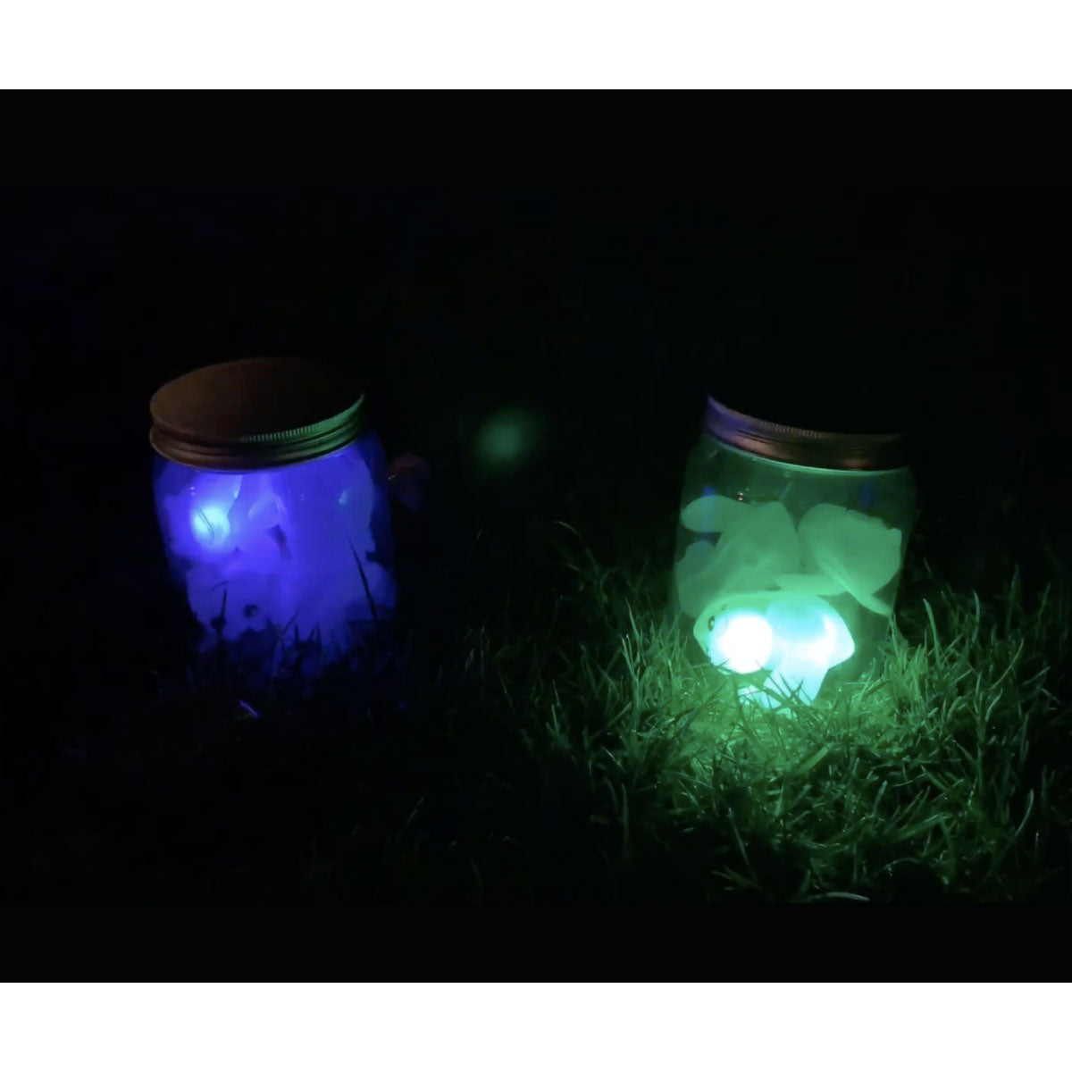 Chasing Fireflies from Toysmith