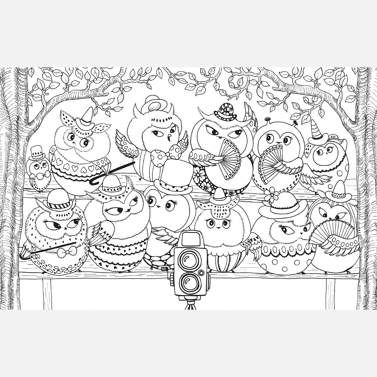 A Million Owls Coloring Book by Lulu Mayo