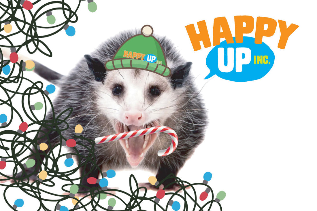 A Holiday Message from Happy Up