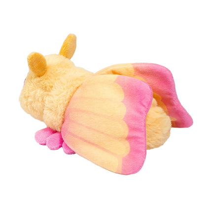 Rosy Maple Moth Douglas