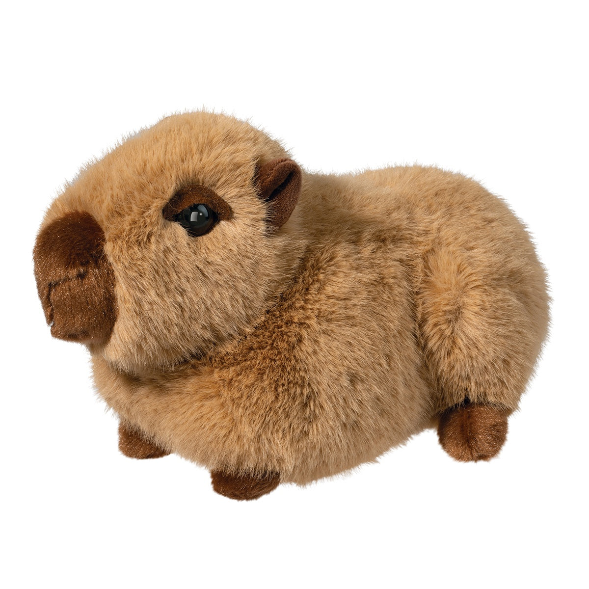 Chattie the Soft Capybara 10" by Douglas.