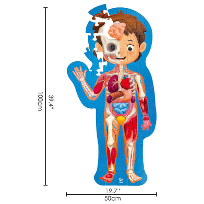 Hape Human Body Puzzle