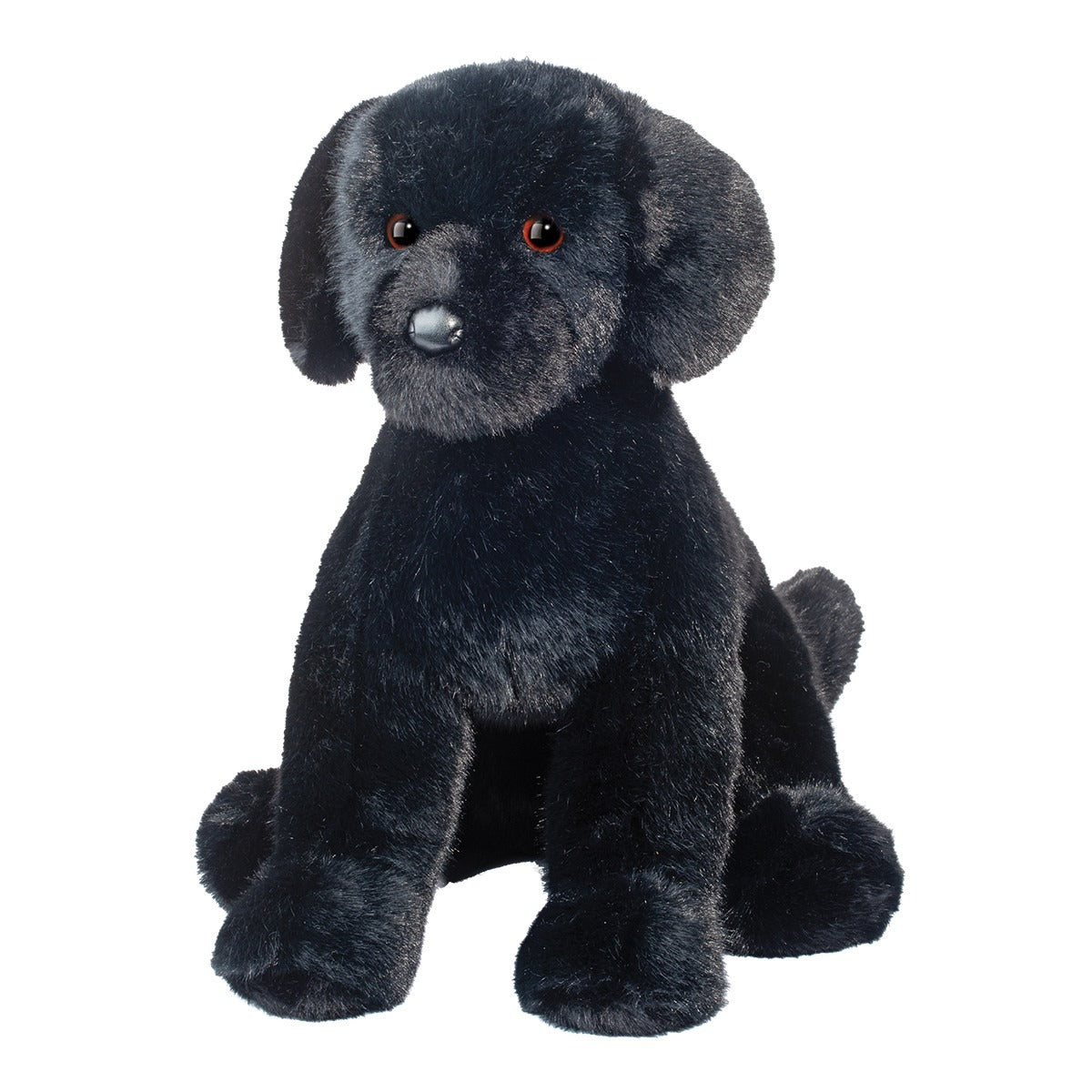 Spruce Labrador Dog Douglas
