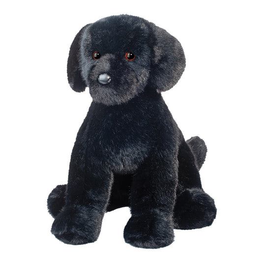 Spruce Labrador Dog Douglas