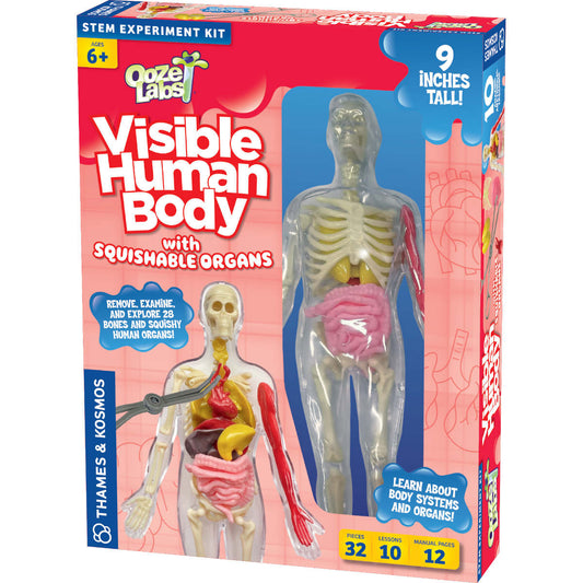 Thames & Kosmos: Visible Human Body