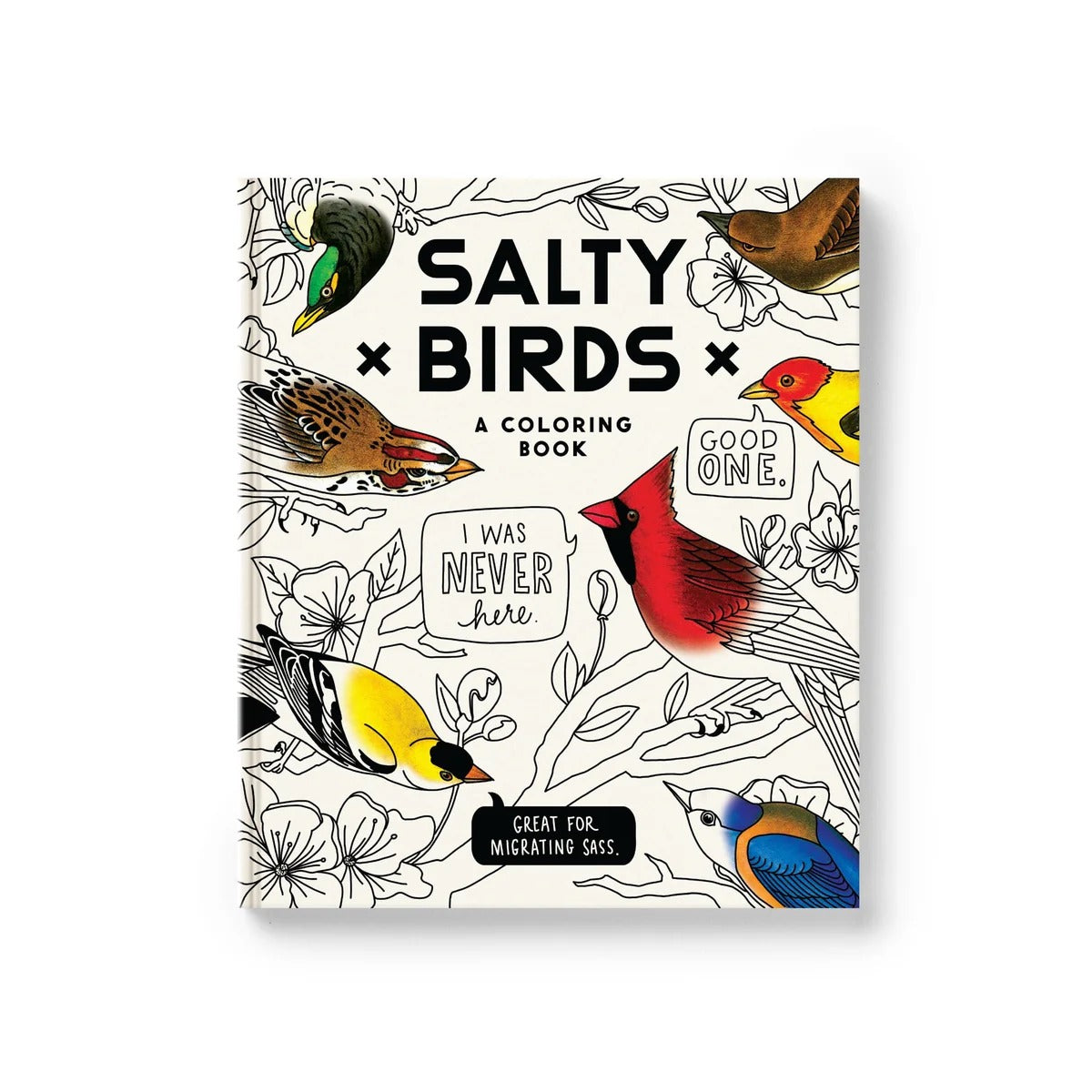 Brass Monkey Goods Salty Birds Coloring Book