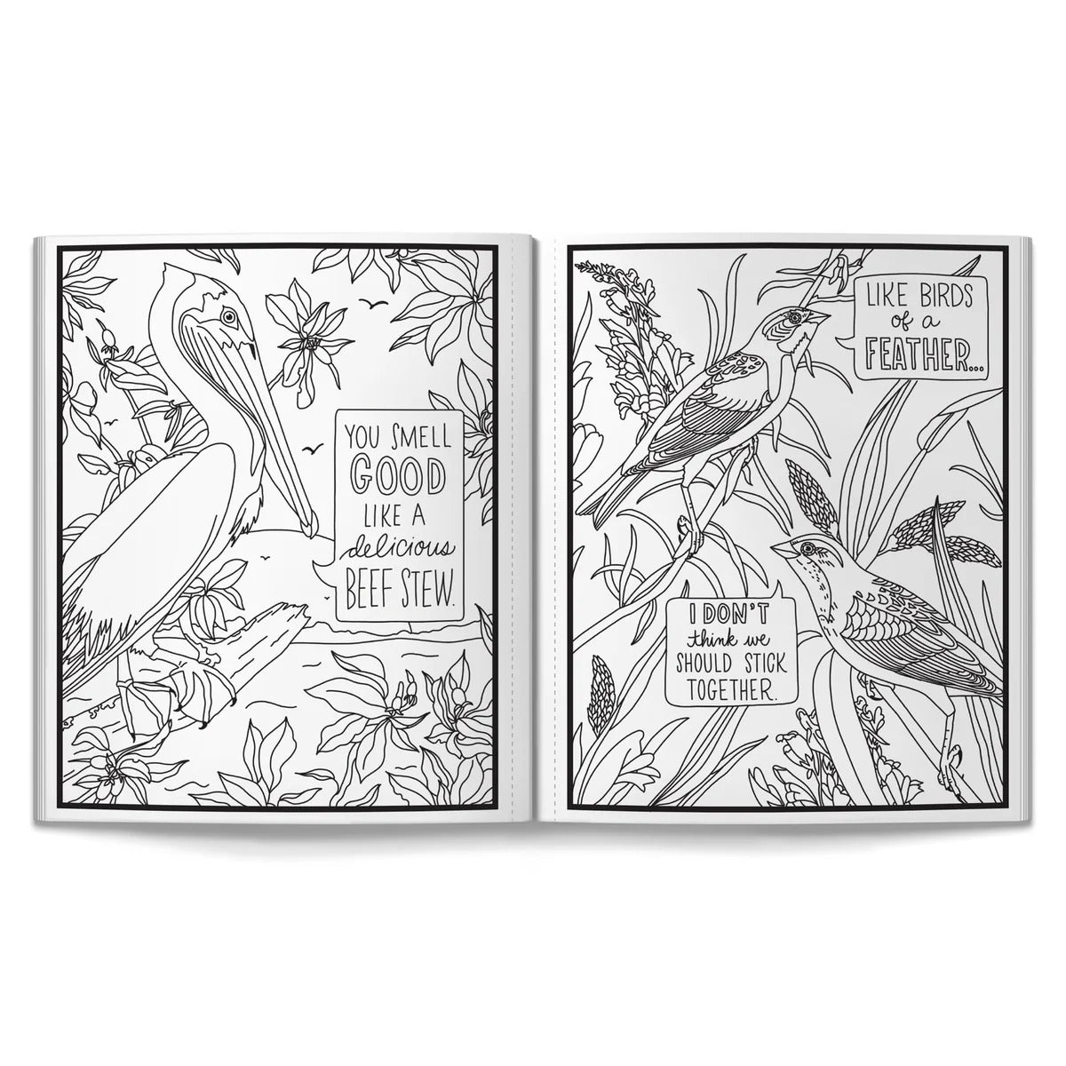 Brass Monkey Goods Salty Birds Coloring Book