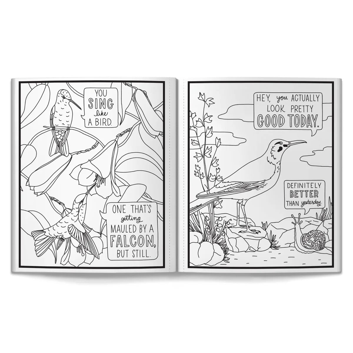 Brass Monkey Goods Salty Birds Coloring Book