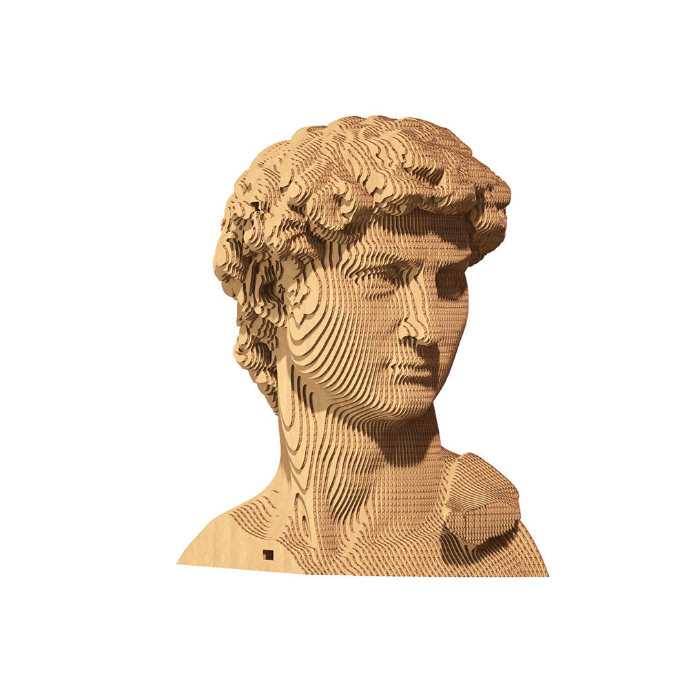 Cartonic 3D Cardboard Sculpture - David