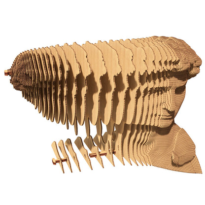Cartonic 3D Cardboard Sculpture - David