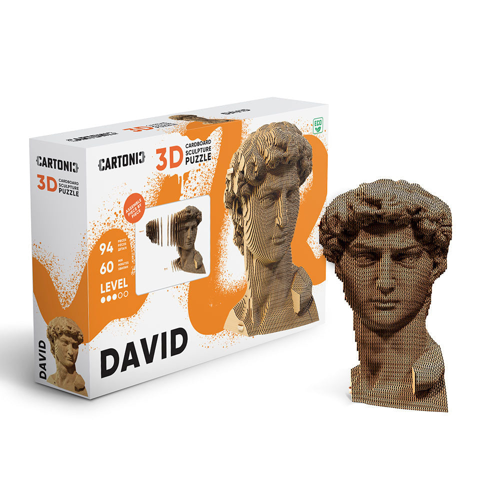Cartonic 3D Cardboard Sculpture - David