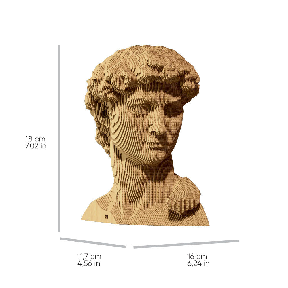 Cartonic 3D Cardboard Sculpture - David