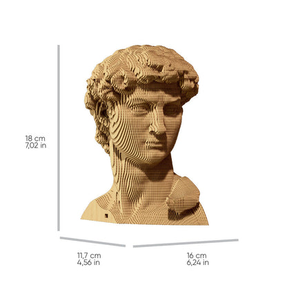 Cartonic 3D Cardboard Sculpture - David