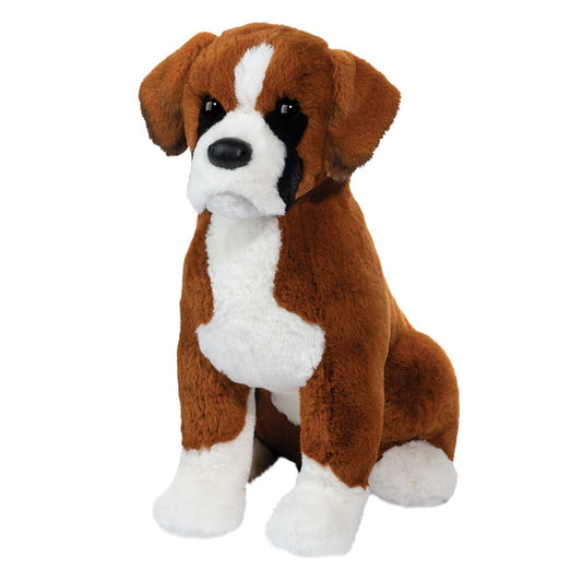 Douglas DLux Chance Boxer