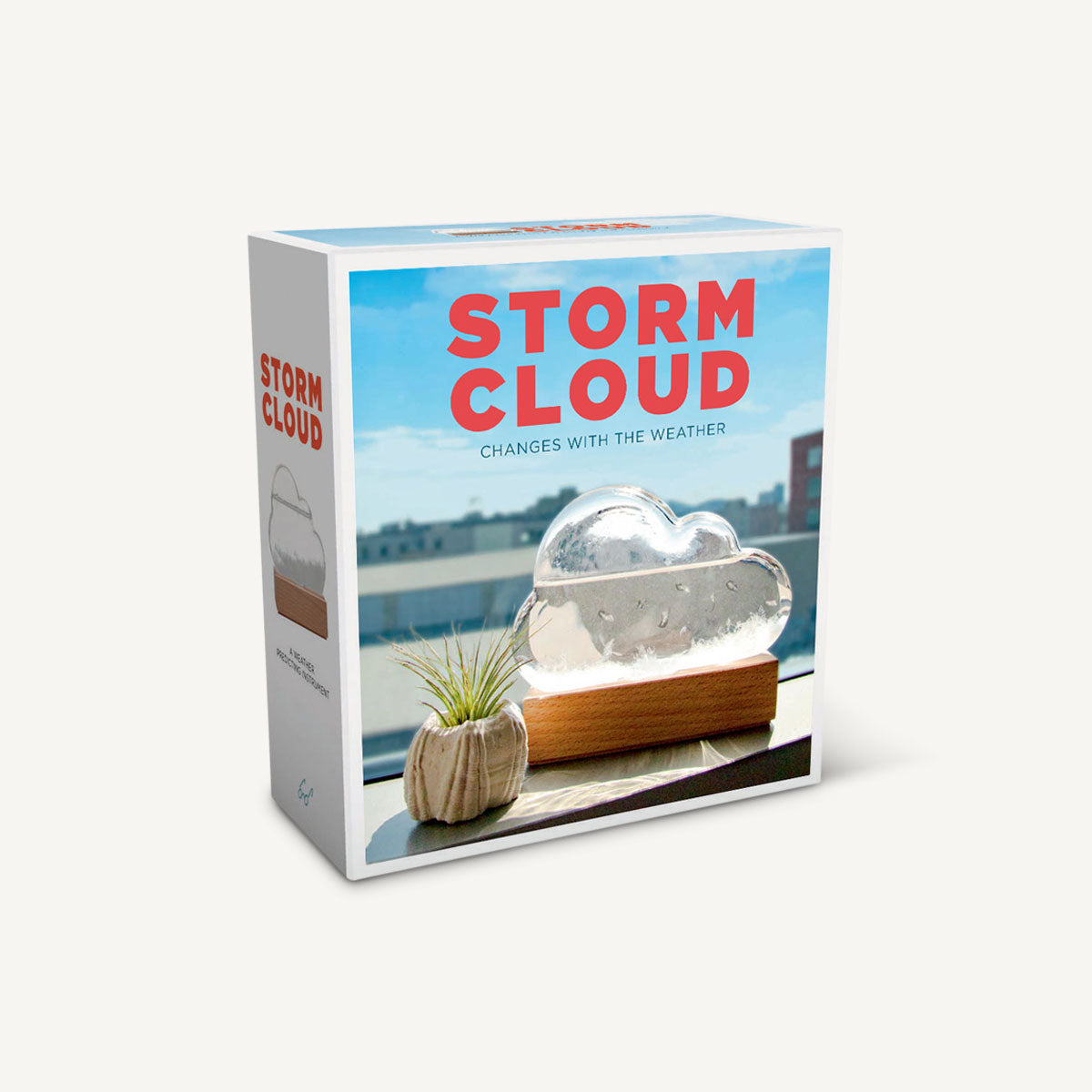 Chronicle Books Storm Cloud Weather Prediction Glass