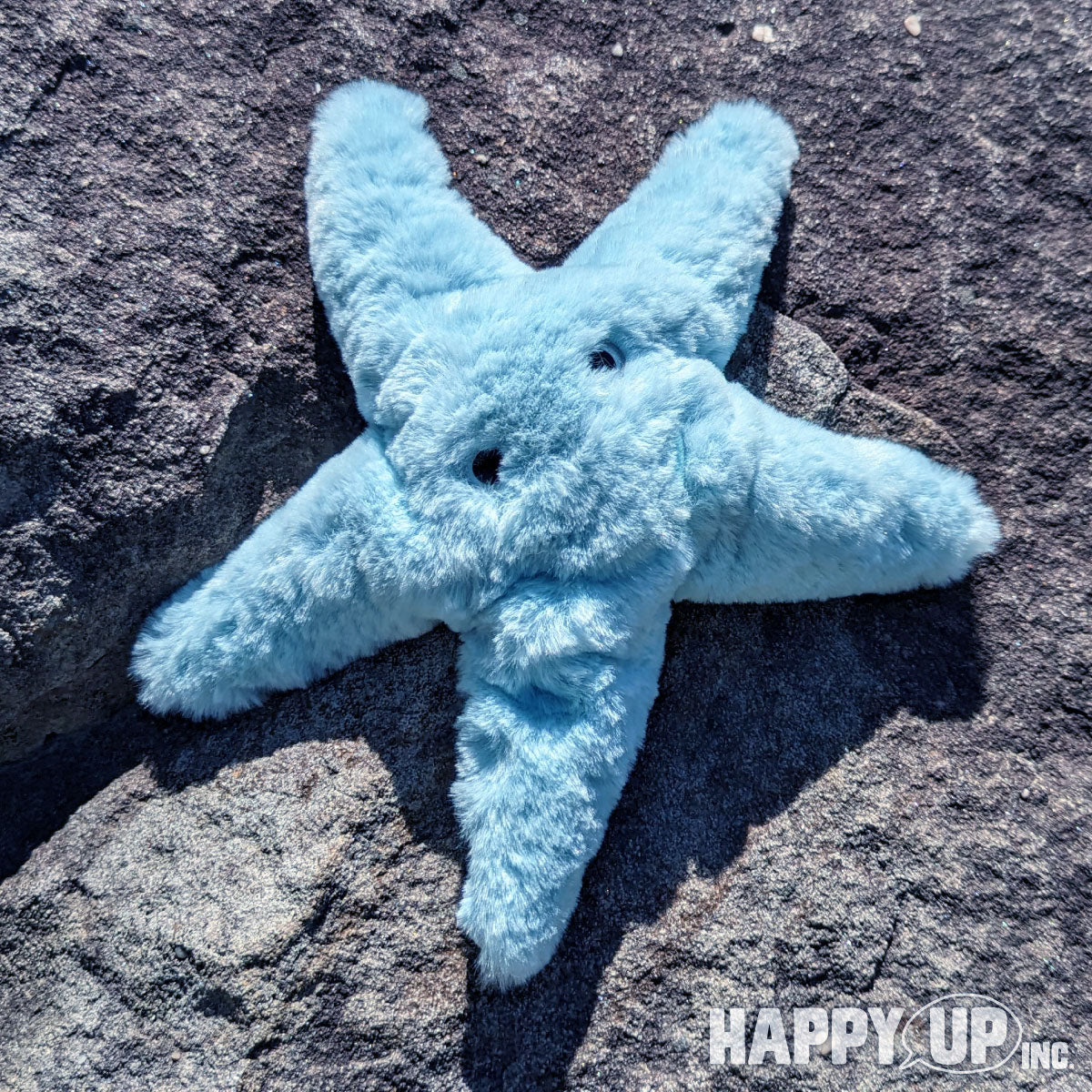Star Fish Angry Angie Aqua Starfish - 10” – Happy Up Inc Toys & Games