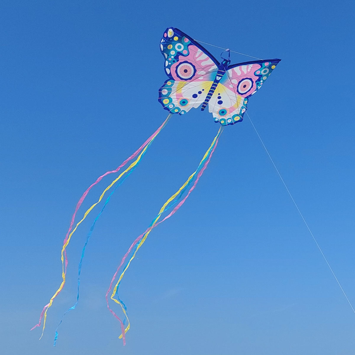 Giant Maxi Butterfly Kite – Happy Up Inc Toys & Games