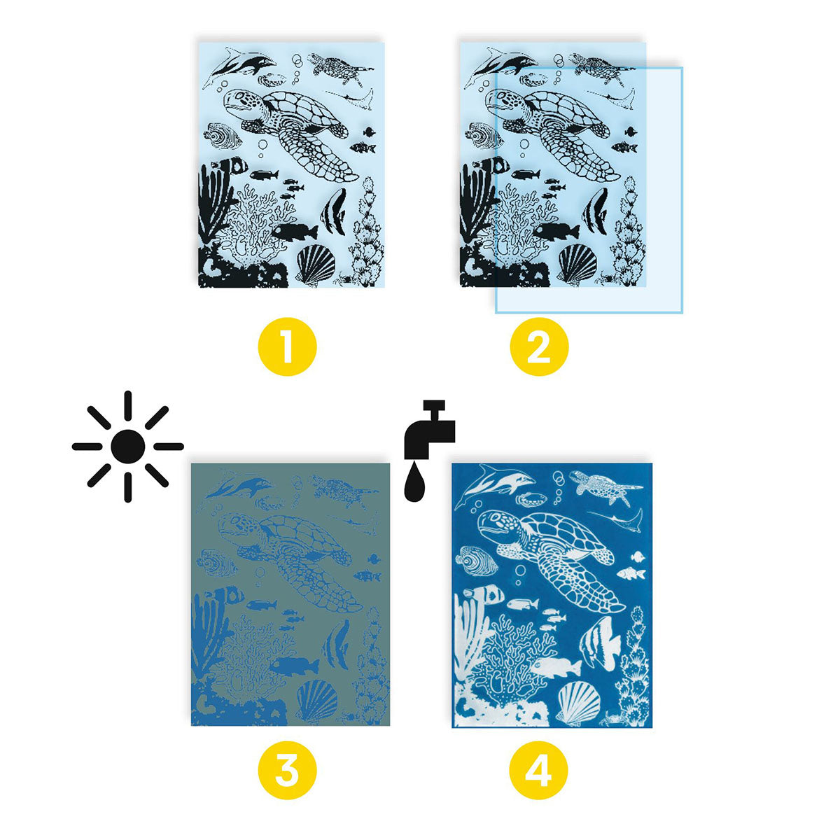 Djeco Ultramarine Cyanotype Paper Craft Kit - Ocean Scenes