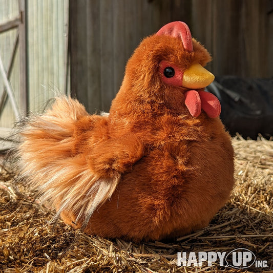 Douglas Hectorina Hen